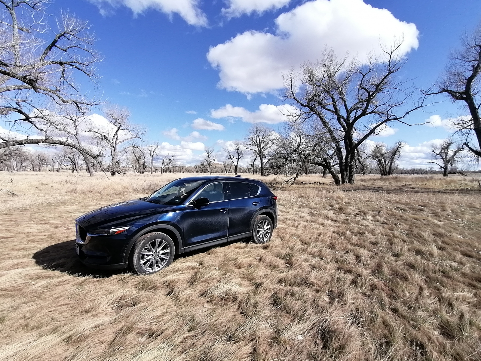 Stopp in der Steppe
