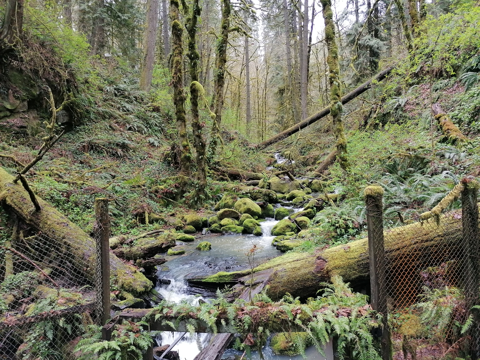 Auf der Suche nach dem Witch's Castle