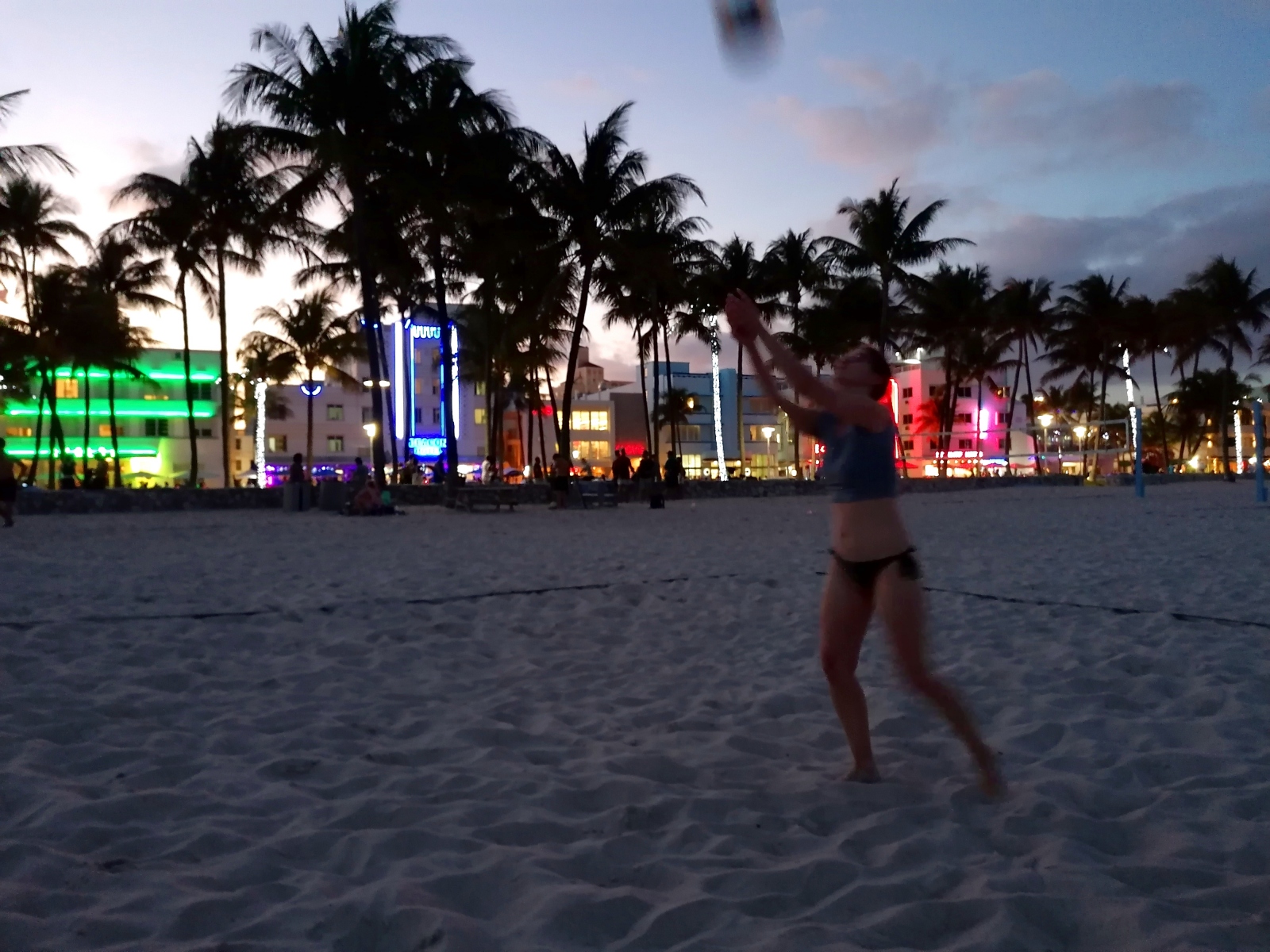 Mila vom Ocean Drive